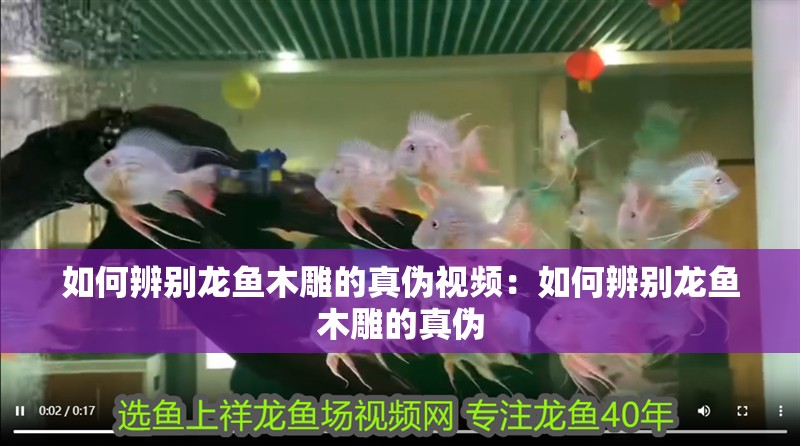 如何辨別龍魚木雕的真偽視頻：如何辨別龍魚木雕的真偽