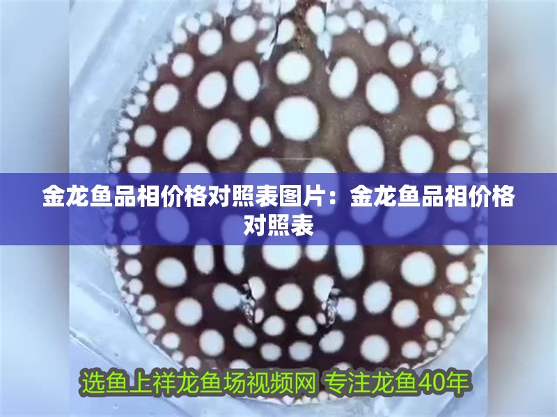 金龍魚品相價(jià)格對(duì)照表圖片：金龍魚品相價(jià)格對(duì)照表