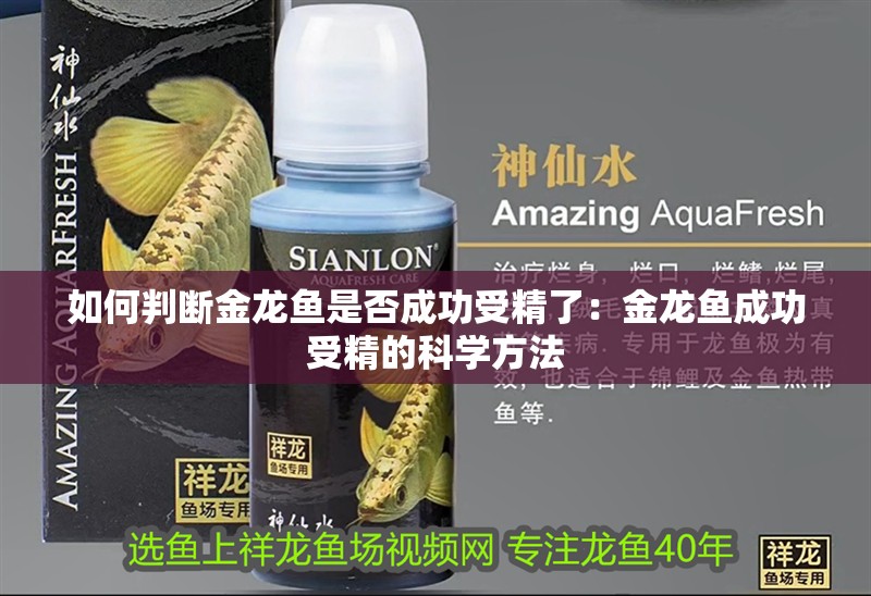 如何判斷金龍魚是否成功受精了：金龍魚成功受精的科學(xué)方法