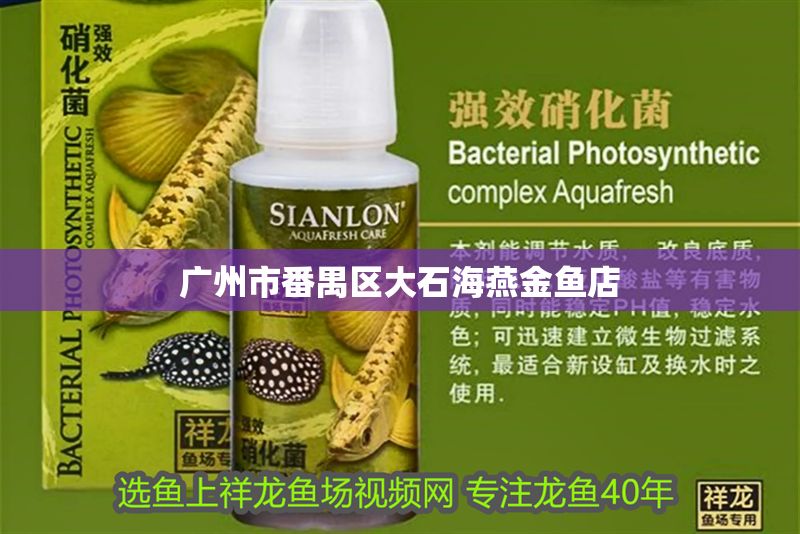 廣州市番禺區大石海燕金魚店