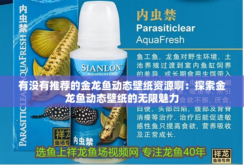 有沒有推薦的金龍魚動態壁紙資源啊：探索金龍魚動態壁紙的無限魅力
