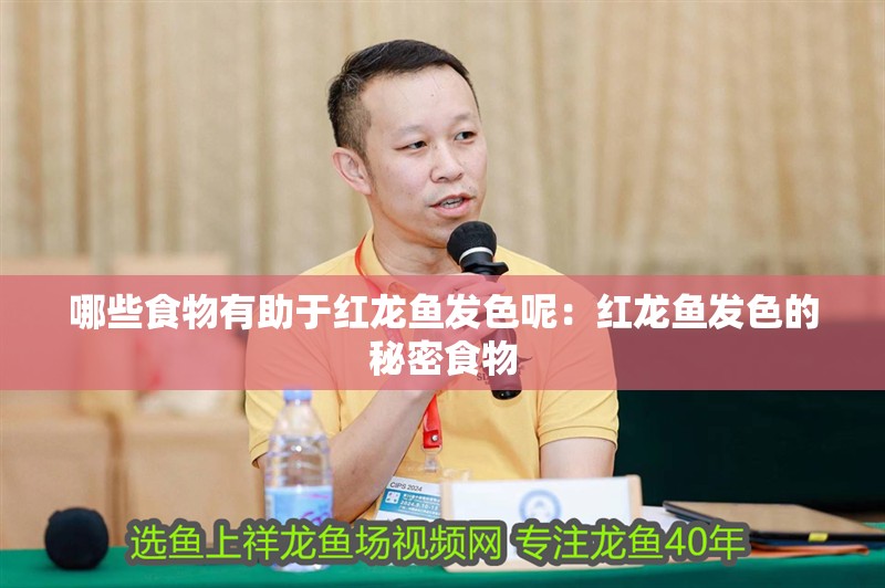 哪些食物有助于紅龍魚發色呢：紅龍魚發色的秘密食物