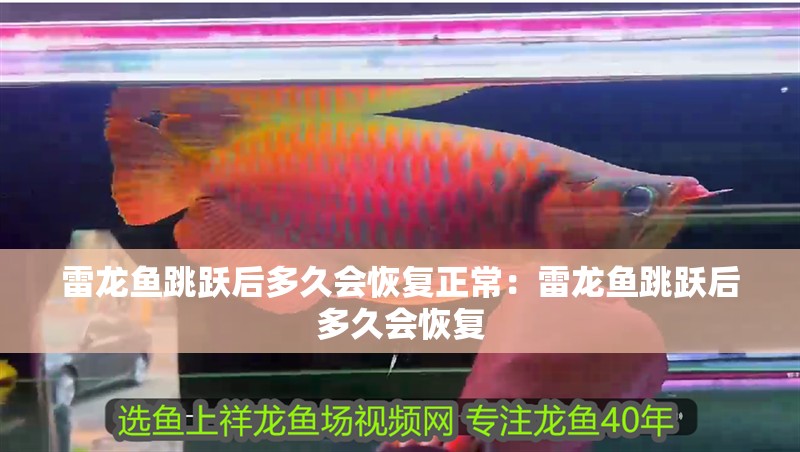 雷龍魚跳躍后多久會恢復正常：雷龍魚跳躍后多久會恢復