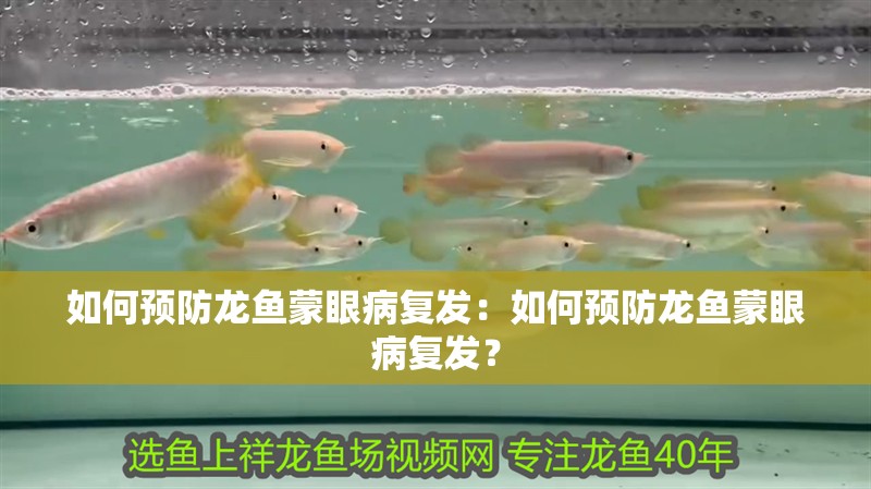 如何預(yù)防龍魚蒙眼病復(fù)發(fā)：如何預(yù)防龍魚蒙眼病復(fù)發(fā)？