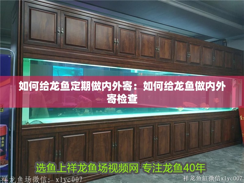 如何給龍魚定期做內(nèi)外寄：如何給龍魚做內(nèi)外寄檢查