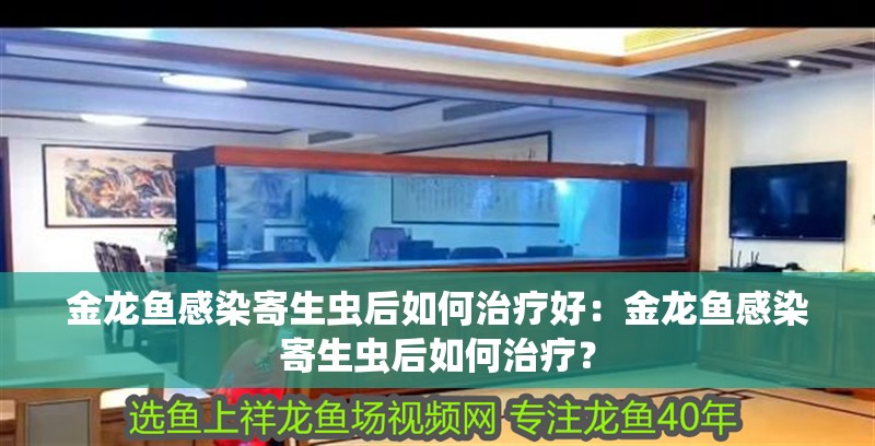 金龍魚感染寄生蟲后如何治療好：金龍魚感染寄生蟲后如何治療？