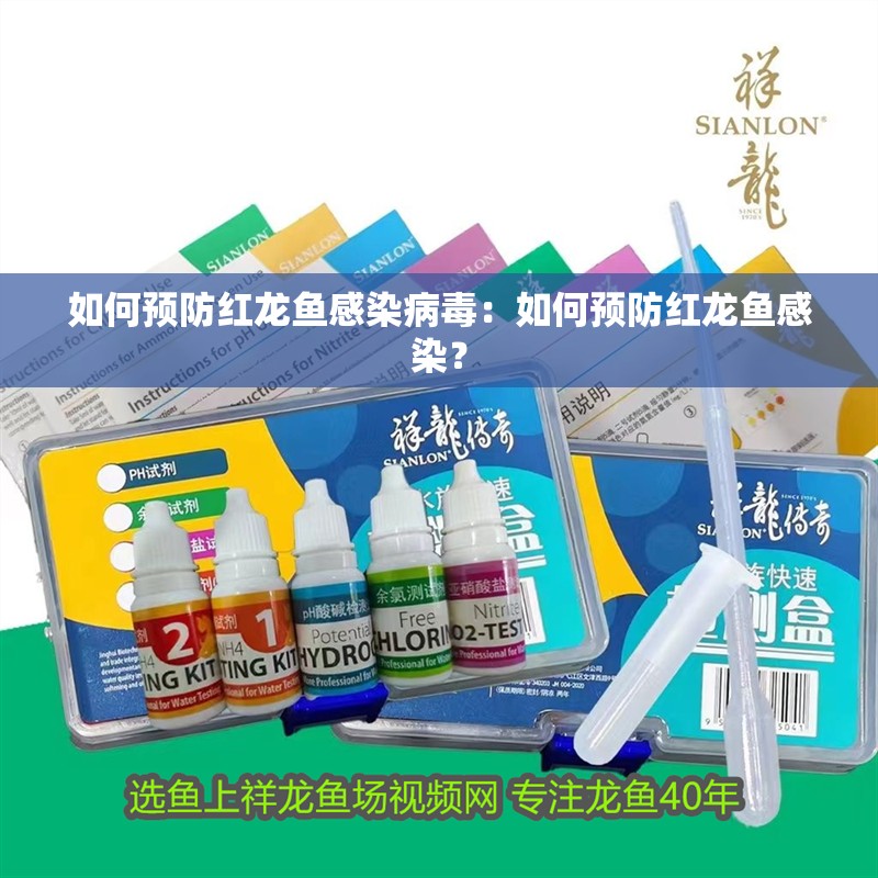 如何預防紅龍魚感染病毒：如何預防紅龍魚感染？