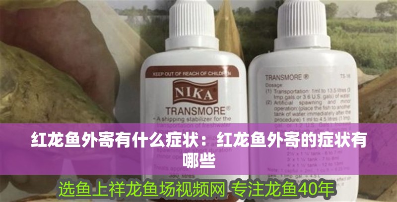 紅龍魚外寄有什么癥狀：紅龍魚外寄的癥狀有哪些 紅龍魚外寄有什么癥狀：紅龍魚外寄的癥狀有哪些 水族問答