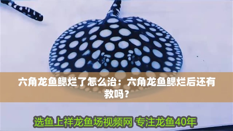 六角龍魚(yú)鰓爛了怎么治：六角龍魚(yú)鰓爛后還有救嗎？