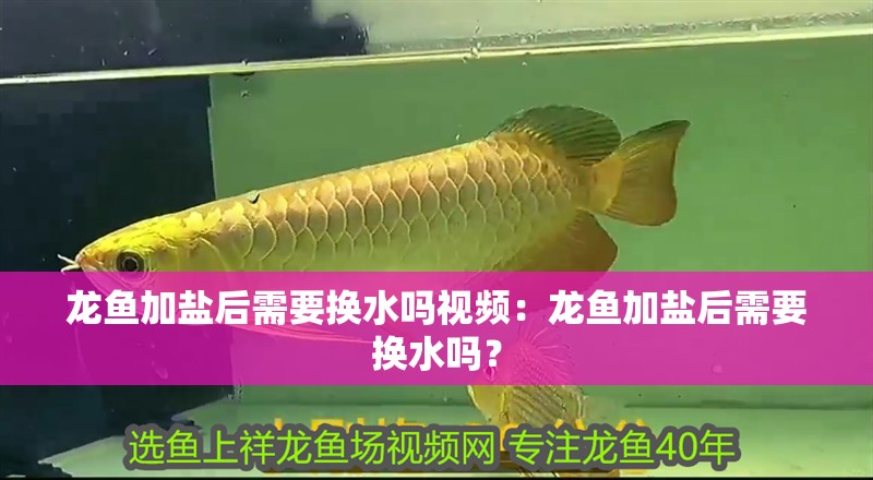 龍魚(yú)加鹽后需要換水嗎視頻：龍魚(yú)加鹽后需要換水嗎？