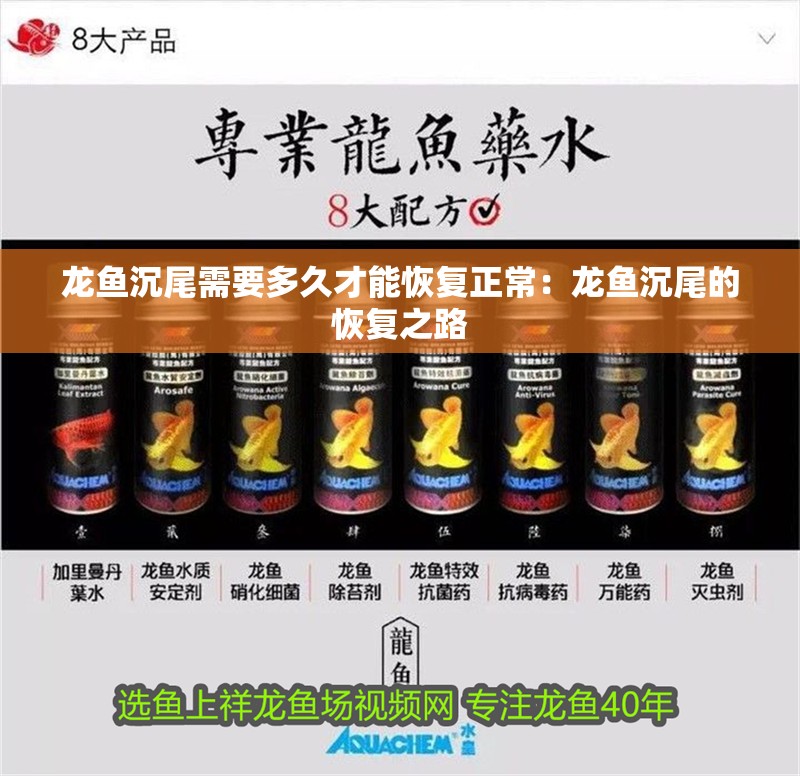 龍魚沉尾需要多久才能恢復正常：龍魚沉尾的恢復之路
