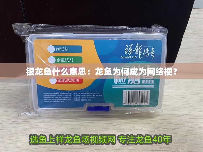 銀龍魚什么意思：龍魚為何成為網絡梗？