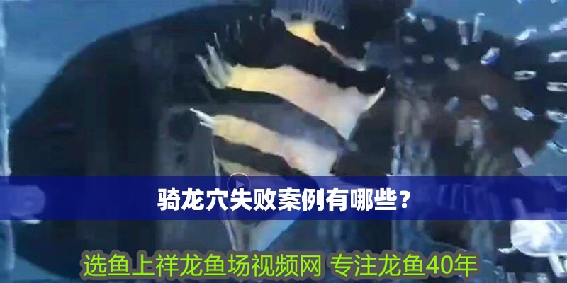 騎龍穴失敗案例有哪些？