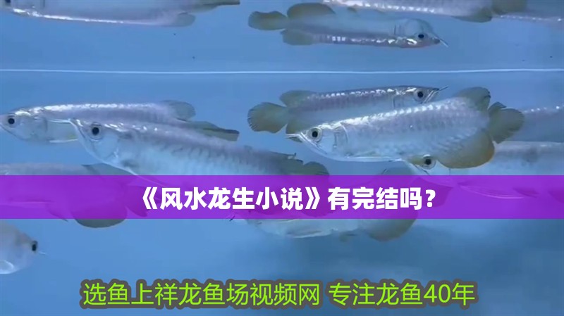 《風(fēng)水龍生小說》有完結(jié)嗎？