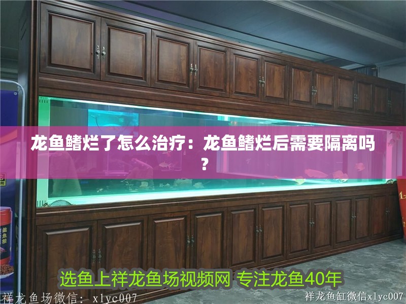 龍魚鰭爛了怎么治療：龍魚鰭爛后需要隔離嗎？