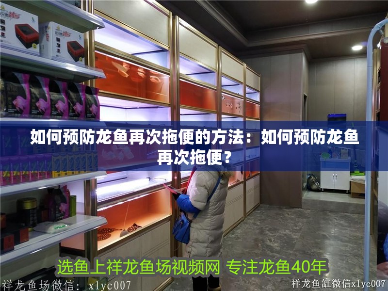 什么魚能和龍魚、虎魚混養(龍魚能和虎魚混養嗎) 如何預防龍魚再次拖便的方法:如何預防龍魚再次拖便? 水族問答 如何預防龍魚再次拖便的方法:如何預防龍魚再次拖便? 如何預防龍魚再次拖便的方法:如何預防龍魚再次拖便? 水族問答