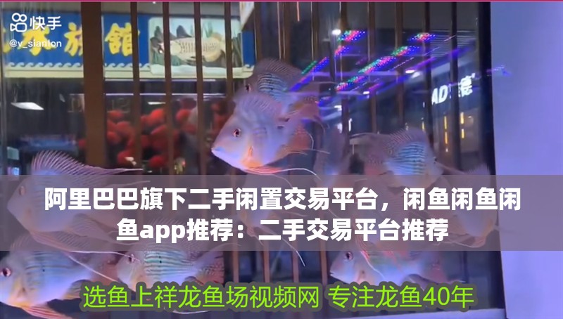 阿里巴巴旗下二手閑置交易平臺，閑魚閑魚閑魚app推薦：二手交易平臺推薦 阿里巴巴旗下二手閑置交易平臺，閑魚閑魚閑魚app推薦：二手交易平臺推薦 魚缸百科