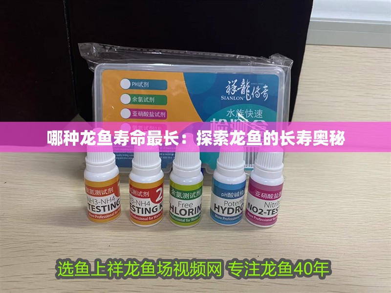 哪種龍魚壽命最長：探索龍魚的長壽奧秘