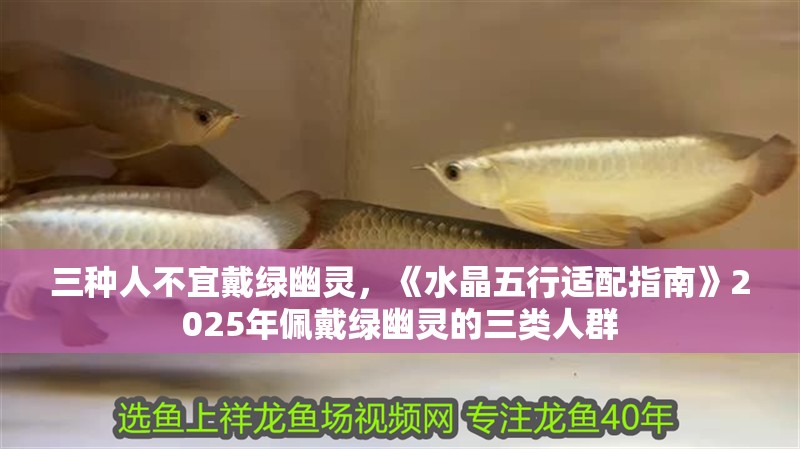 三種人不宜戴綠幽靈，《水晶五行適配指南》2025年佩戴綠幽靈的三類人群