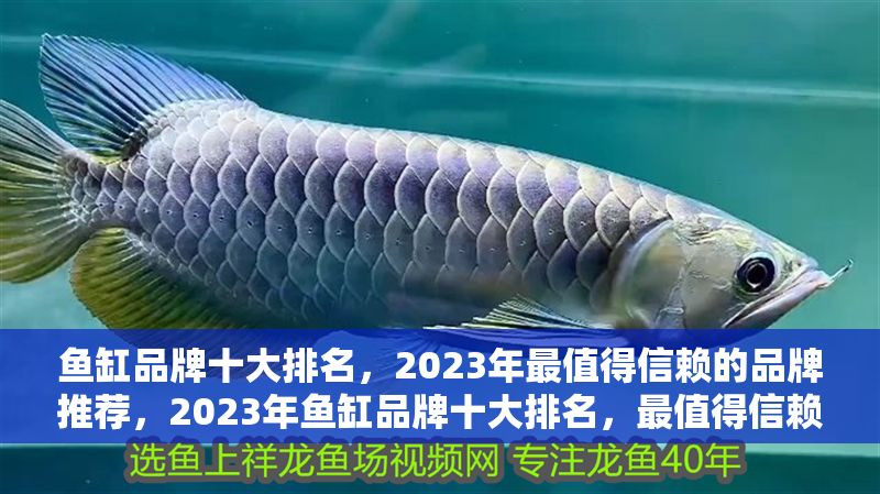 魚缸品牌十大排名，2023年最值得信賴的品牌推薦，2023年魚缸品牌十大排名，最值得信賴的優質之選