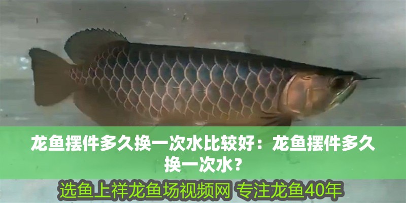 龍魚擺件多久換一次水比較好：龍魚擺件多久換一次水？