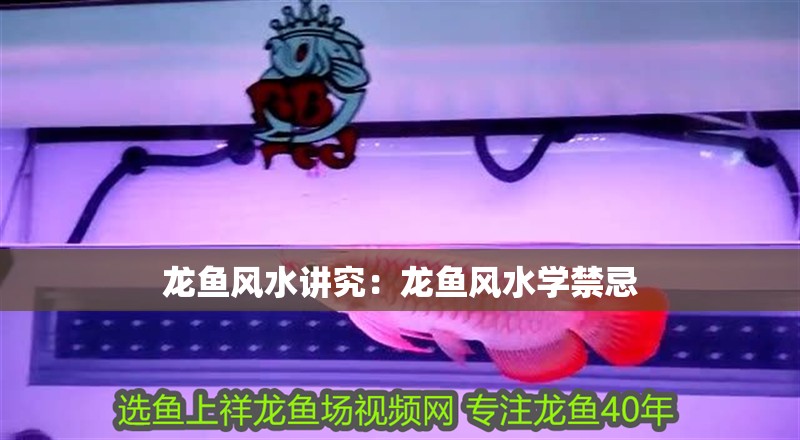 龍魚風水講究：龍魚風水學禁忌