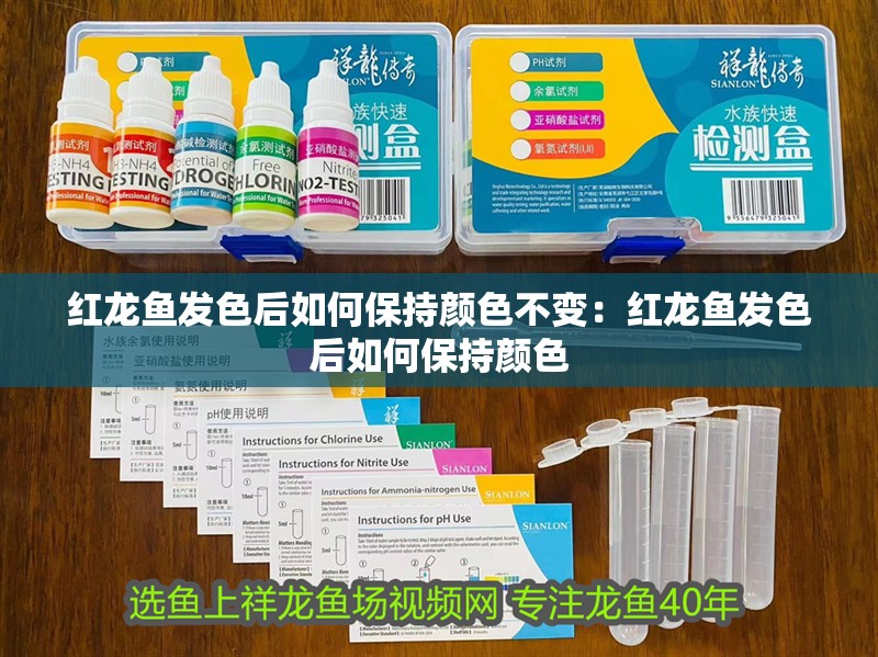 紅龍魚發色后如何保持顏色不變：紅龍魚發色后如何保持顏色