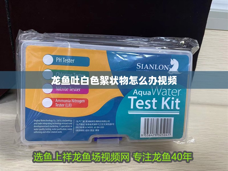 龍魚吐白色絮狀物怎么辦視頻