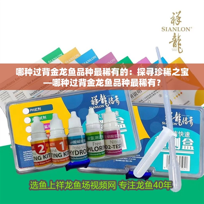 哪種過背金龍魚品種最稀有的：探尋珍稀之寶—哪種過背金龍魚品種最稀有？