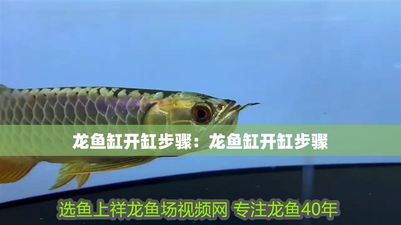 龍魚缸開缸步驟：龍魚缸開缸步驟