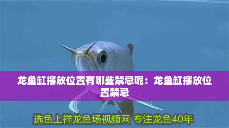 龍魚缸擺放位置有哪些禁忌呢：龍魚缸擺放位置禁忌