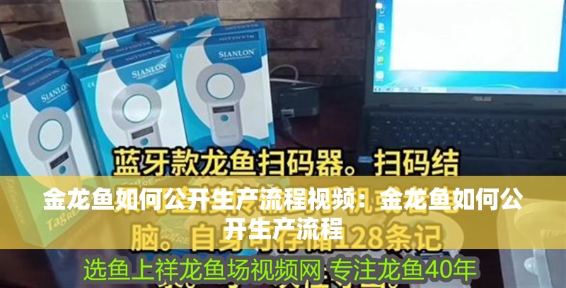 金龍魚如何公開生產流程視頻：金龍魚如何公開生產流程