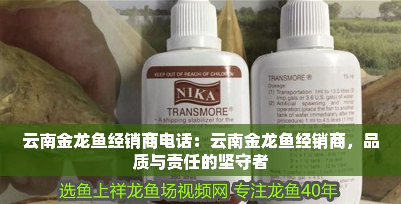 云南金龍魚經銷商電話：云南金龍魚經銷商，品質與責任的堅守者