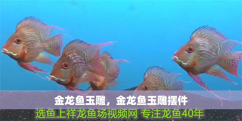 金龍魚玉雕，金龍魚玉雕擺件