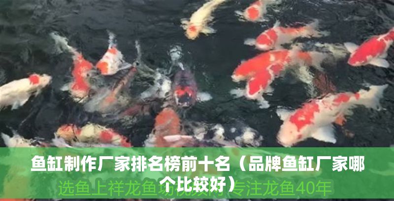 魚缸制作廠家排名榜前十名（品牌魚缸廠家哪個比較好）
