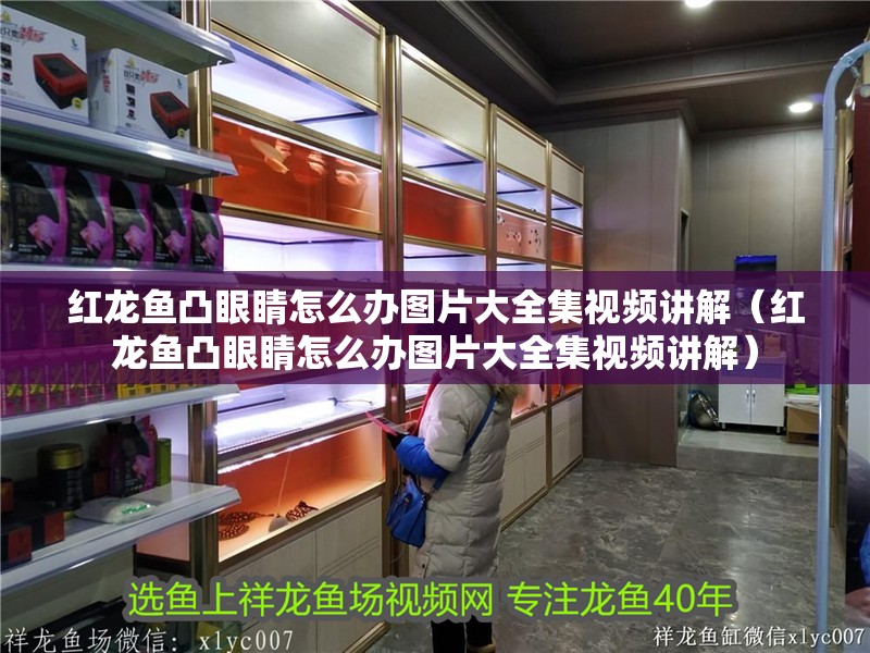 紅龍魚(yú)凸眼睛怎么辦圖片大全集視頻講解（紅龍魚(yú)凸眼睛怎么辦圖片大全集視頻講解）