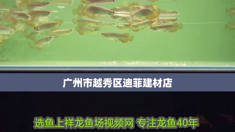 廣州市越秀區迪菲建材店