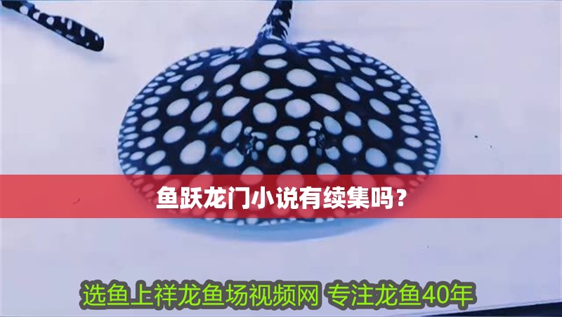 魚躍龍門小說有續集嗎？