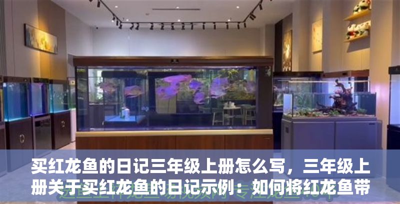 買紅龍魚的日記三年級上冊怎么寫，三年級上冊關于買紅龍魚的日記示例：如何將紅龍魚帶回家