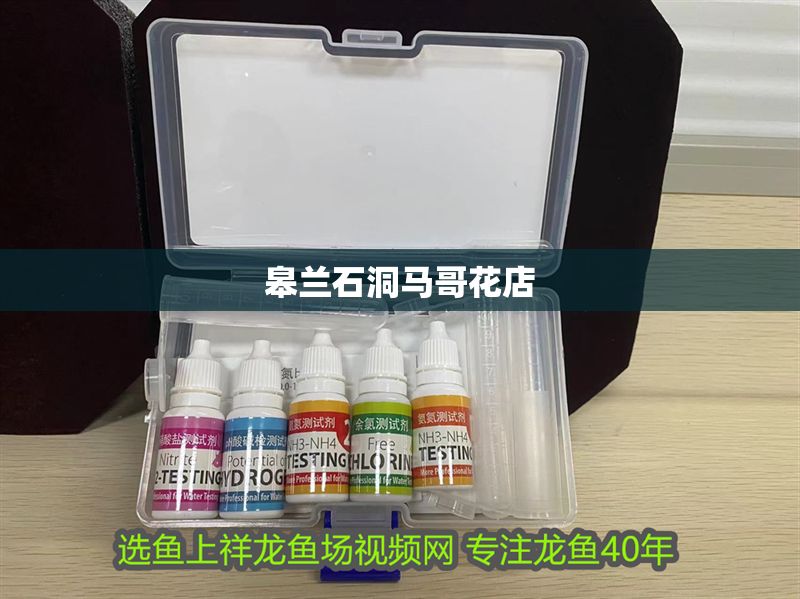 皋蘭石洞馬哥花店