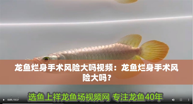 龍魚爛身手術風險大嗎視頻：龍魚爛身手術風險大嗎？