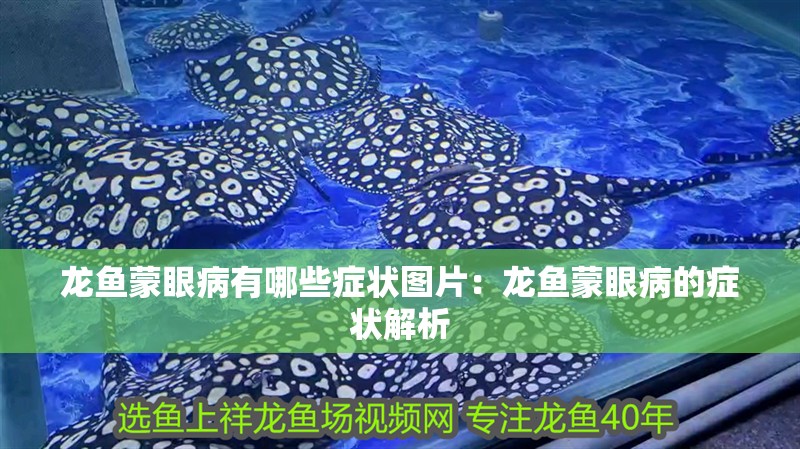 龍魚蒙眼病有哪些癥狀圖片：龍魚蒙眼病的癥狀解析