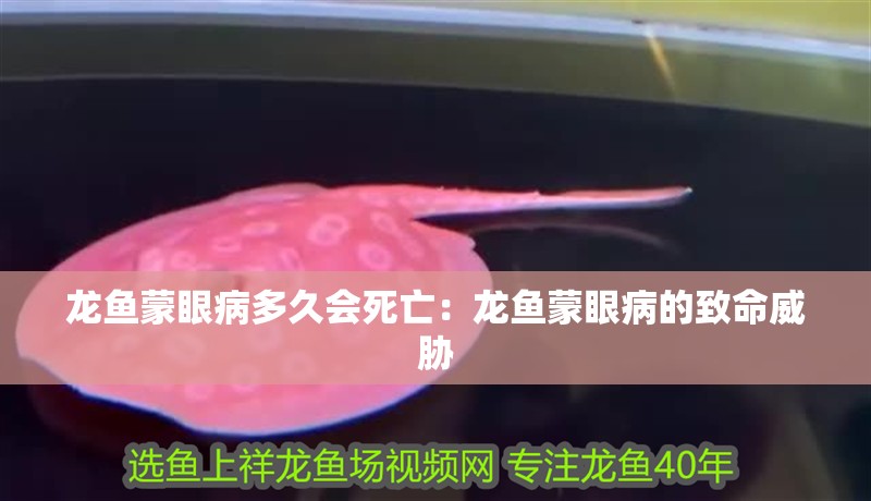 龍魚蒙眼病多久會死亡：龍魚蒙眼病的致命威脅