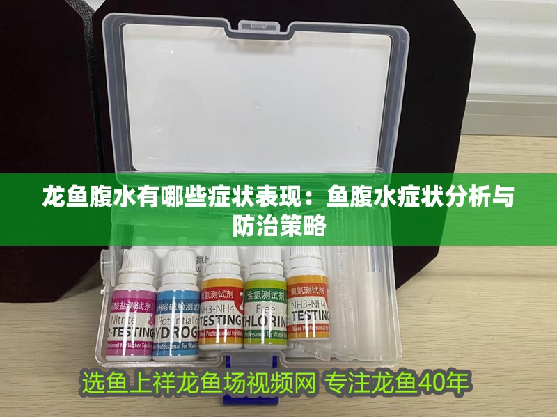 龍魚腹水有哪些癥狀表現(xiàn)：魚腹水癥狀分析與防治策略