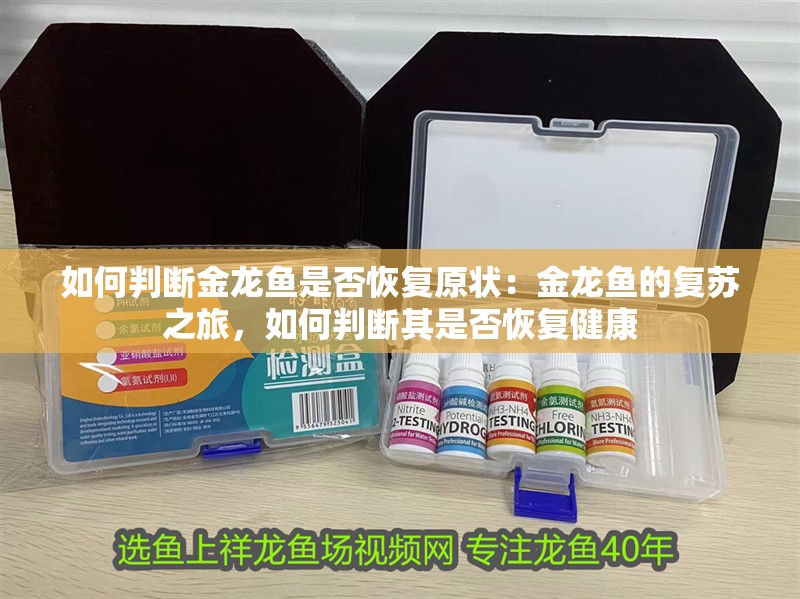 如何判斷金龍魚是否恢復原狀：金龍魚的復蘇之旅，如何判斷其是否恢復健康