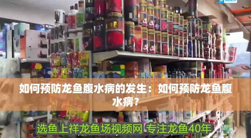 如何預防龍魚腹水病的發生：如何預防龍魚腹水病？