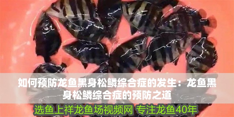 如何預防龍魚黑身松鱗綜合癥的發生：龍魚黑身松鱗綜合癥的預防之道