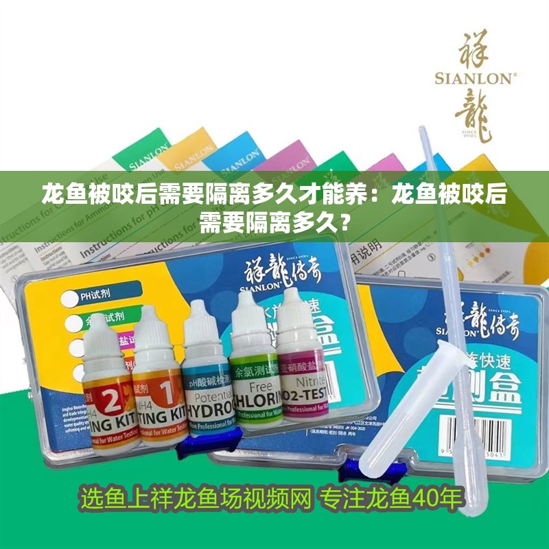 龍魚被咬后需要隔離多久才能養：龍魚被咬后需要隔離多久？