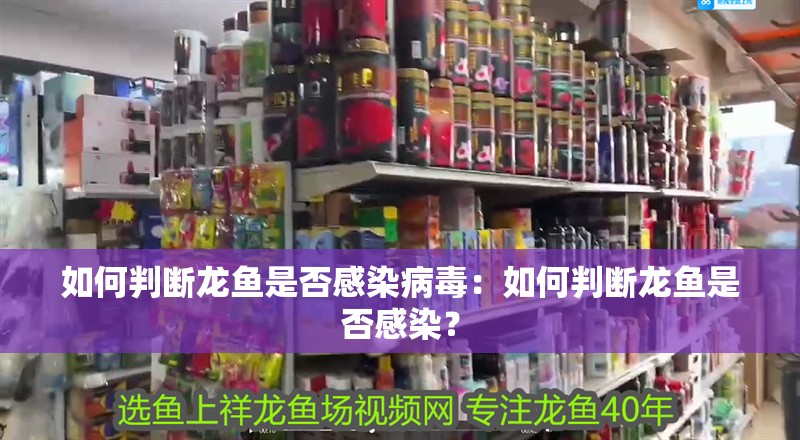 如何判斷龍魚(yú)是否感染病毒：如何判斷龍魚(yú)是否感染？