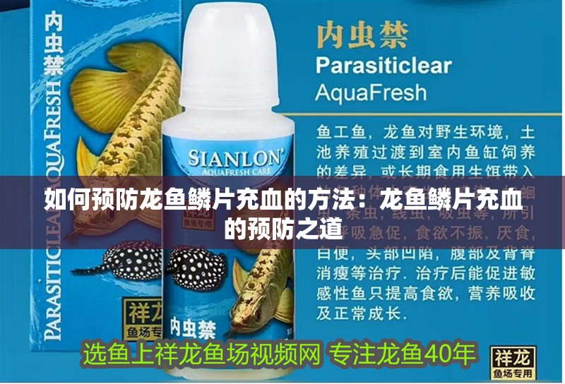 如何預防龍魚鱗片充血的方法：龍魚鱗片充血的預防之道